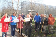 акция «Экологический субботник «Зеленая весна-2018» с участием работников культуры и городских волонтеров - фото - 7