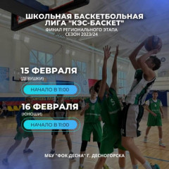 первенство Смоленской области по баскетболу - фото - 1