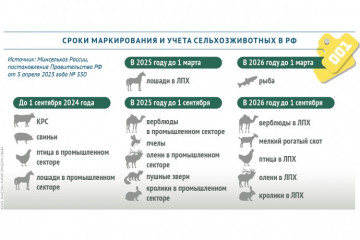 информирование населения о необходимости соблюдения всех мер по обеспечению биологической безопасности личных подсобных, крестьянских (фермерских) хозяйств, других мелкотоварных свиноводческих и птицеводческих хозяйств - фото - 1