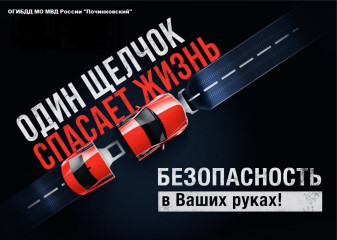 информация начальника отделения Госавтоинспекции ОМВД России по г.Десногорску - фото - 3