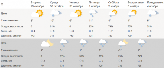 краткосрочный прогноз природных и техногенных чрезвычайных ситуаций на территории Смоленской области с 29 октября по 04 ноября 2024 г - фото - 2