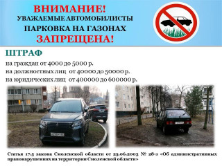 новость - фото - 1