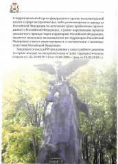 разъяснение иностранным гражданам норм поведения, традиций, культурных ценностей российского общества, норм законодательства Российской Федерации - фото - 1