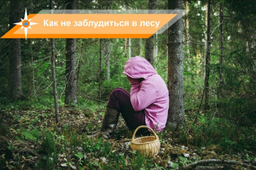 как не заблудиться в лесу - фото - 1