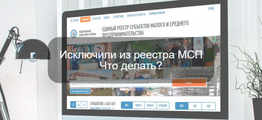 субъект малого и среднего предпринимательства исключен из реестра, что делать - фото - 1