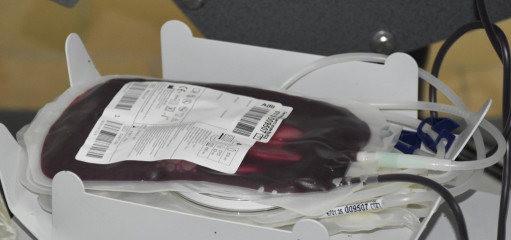 смоленские атомщики и жители Десногорска приняли участие в Дне донора - фото - 6