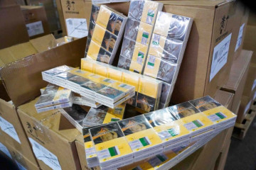 иностранец предстанет перед судом за контрабанду стратегически важных товаров - фото - 1