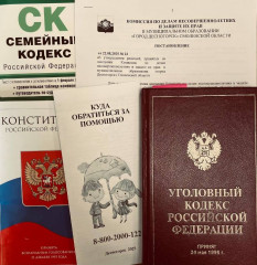 проблема посягательств на половую неприкосновенность несовершеннолетних продолжает оставаться крайне актуальной - фото - 1