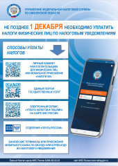 срок исполнения налоговых уведомлений по уплате имущественных налогов и налога на доходы физических лиц, не удержанного налоговым агентом, за 2024 год - фото - 1