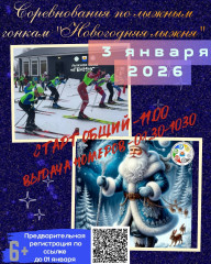 соревнование по лыжным гонкам «Новогодняя лыжня» - фото - 1