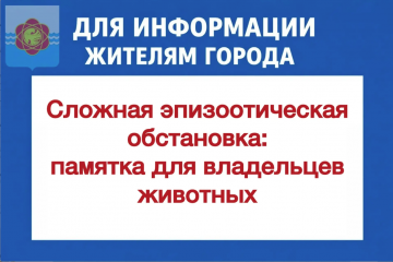 важно - фото - 1