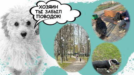 профилактика нарушений правил содержания и выгула собак - фото - 1