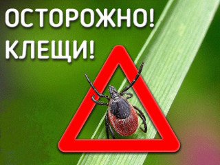 осторожно, клещи - фото - 1