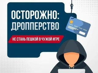 ответственность за участие в дропперстве - фото - 1