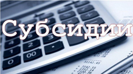 предоставление субсидий субъектам МСП, заключившим договор (договоры) лизинга оборудования с российскими лизинговыми организациями, на возмещение части затрат на уплату первого взноса (аванса) - фото - 1