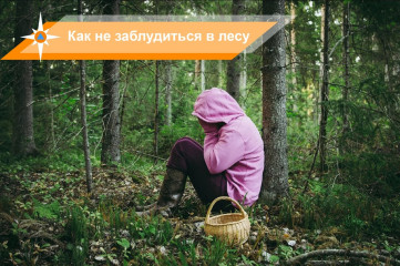 управление по делам ГО и ЧС информирует: Как не заблудиться в лесу - фото - 1