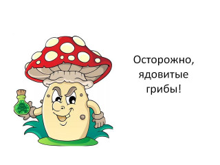 управление по делам ГО и ЧС предупреждает: ОСТОРОЖНО, ядовитые грибы - фото - 1